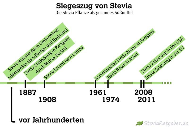 Stevia-Geschichte Moderne Geschichte von Stevia