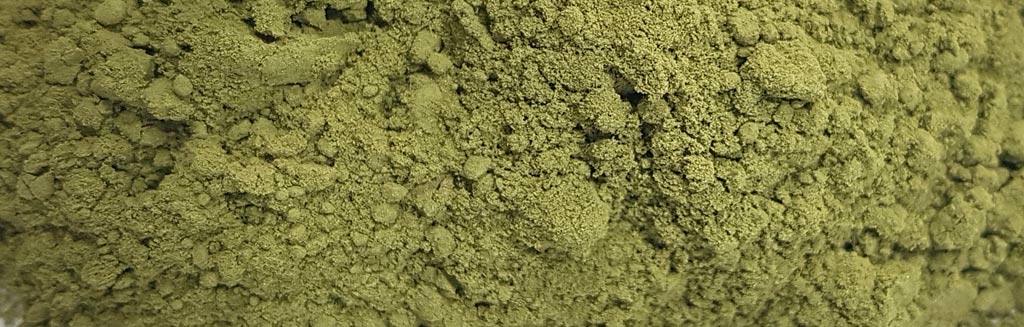 Stevia Rebaudiana Süßkraut Stevia Rebaudiana Süßkraut Pulver